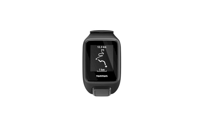 tomtom spark large